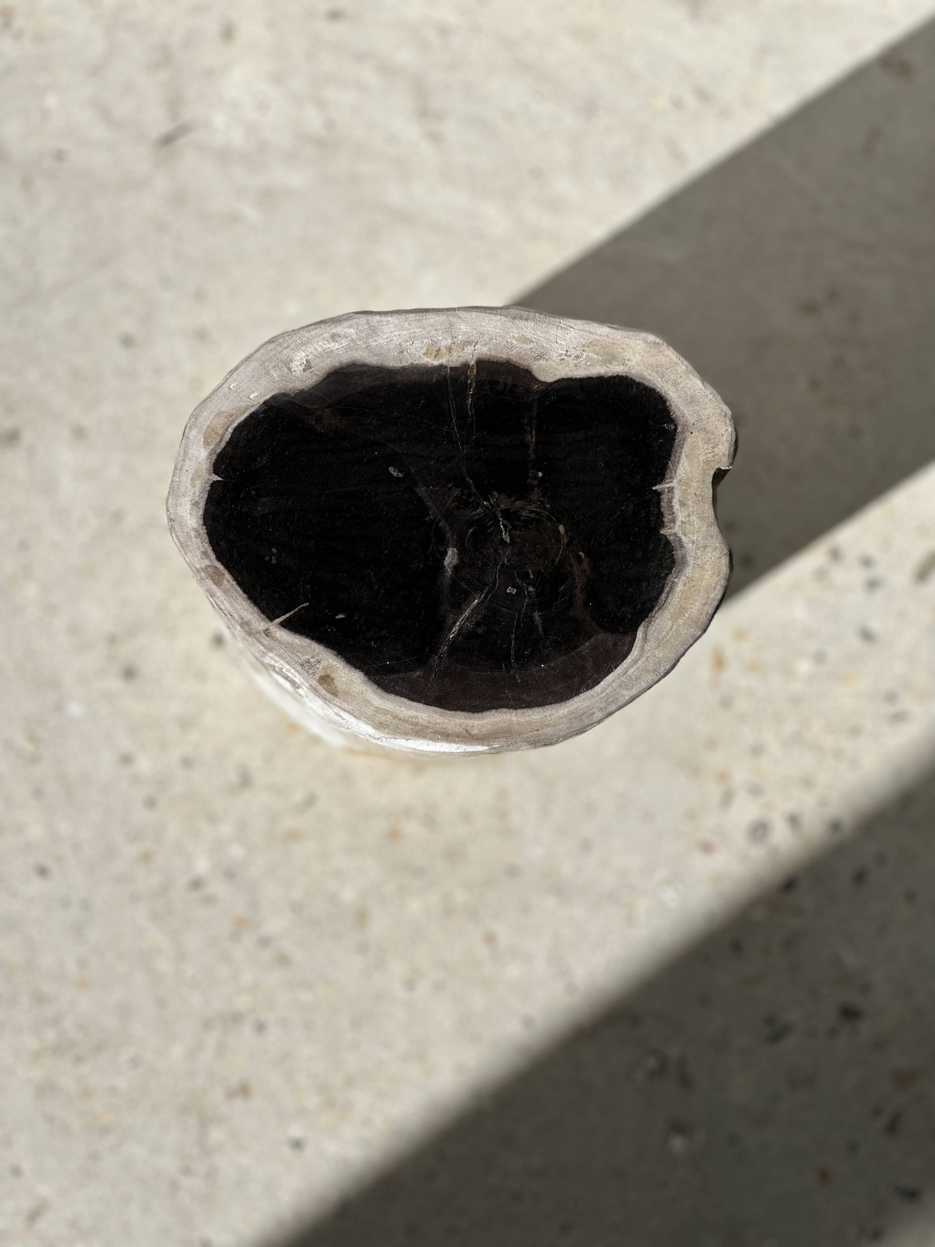 Petrified wood side table white tower black heart H:36cm D:17cm