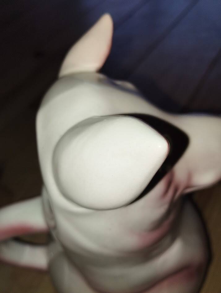 Large pig jug in earthenware – Saint-Clément France, exceptional condition