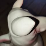 Large pig jug in earthenware – Saint-Clément France, exceptional condition