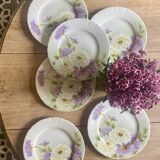 Set of 6 old flat plates - Reine Marguerite de KG Lunéville -