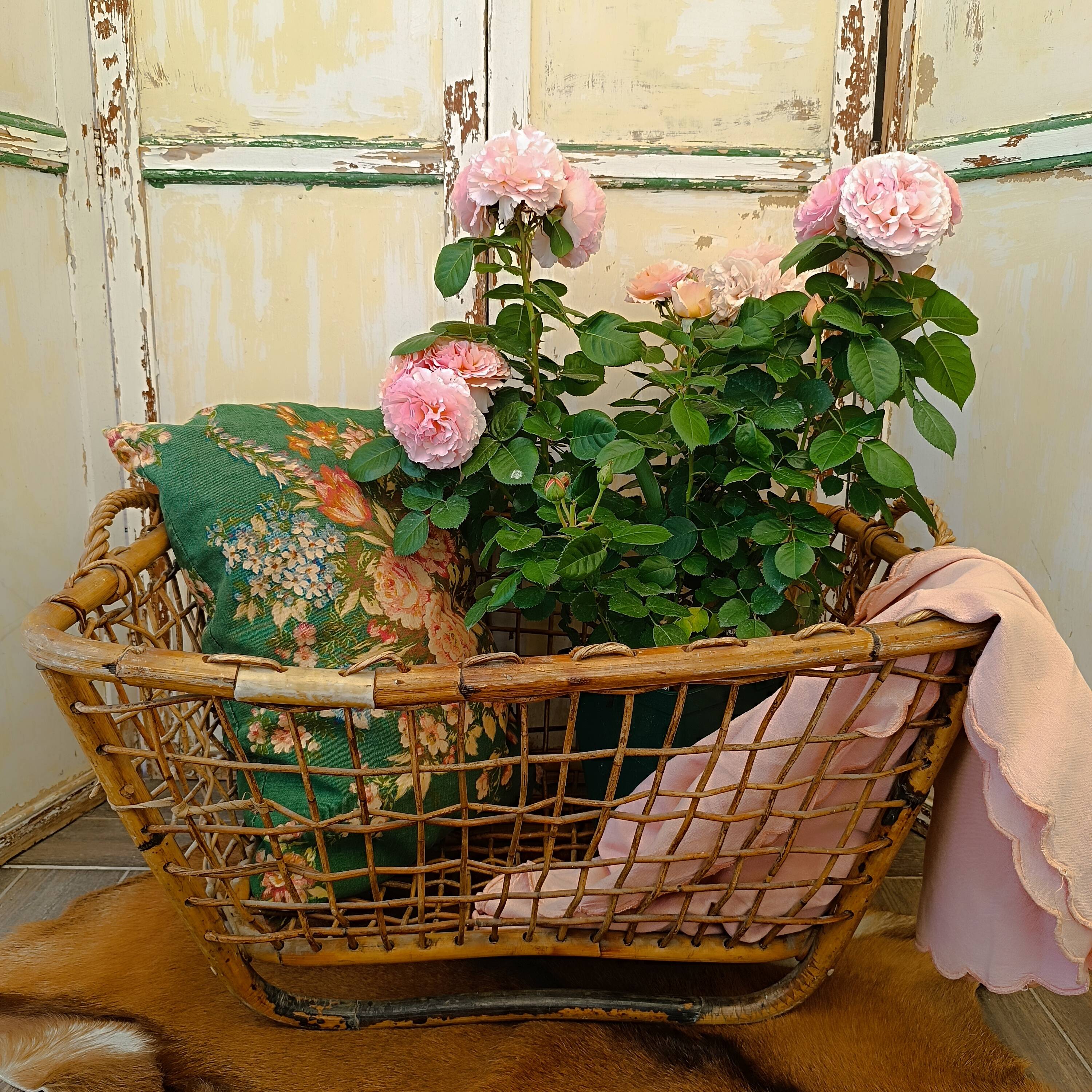 OLD BASKET OR LAUNDRY BASKET