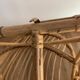 Rattan shell chair