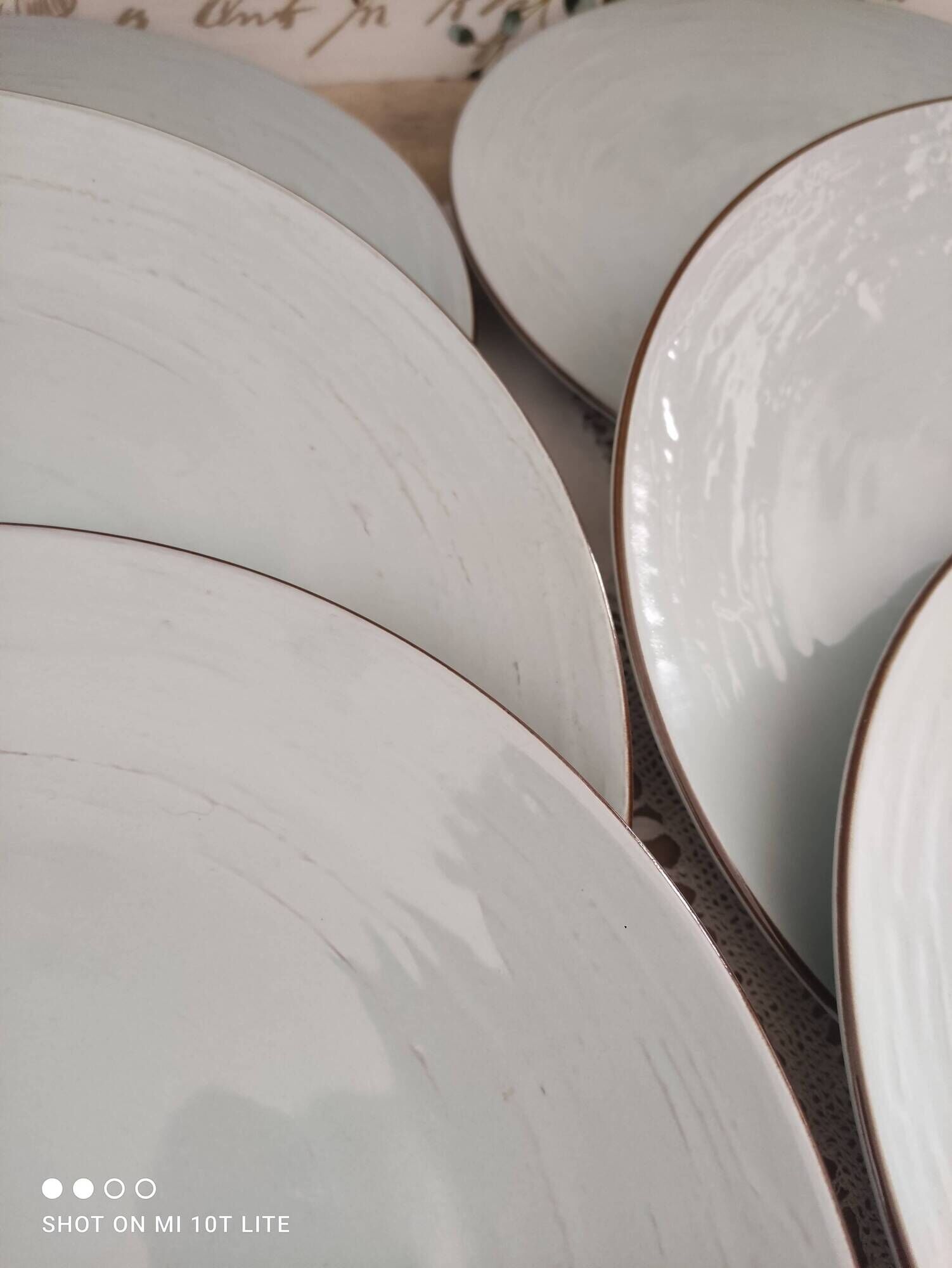 Set of 12 terracotta dinner plates enameled in green cecina