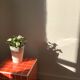 Cube side table