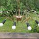 Spider chandelier 1960