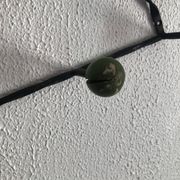 Vintage 1960s heart coat rack with 5 wooden ball hooks - 60 cm