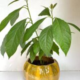 Cache-pot en céramique