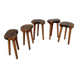 Set of 5 olive tree tripod stools from the 50s