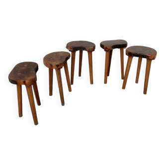 Set of 5 olive tree tripod stools from the 50s
