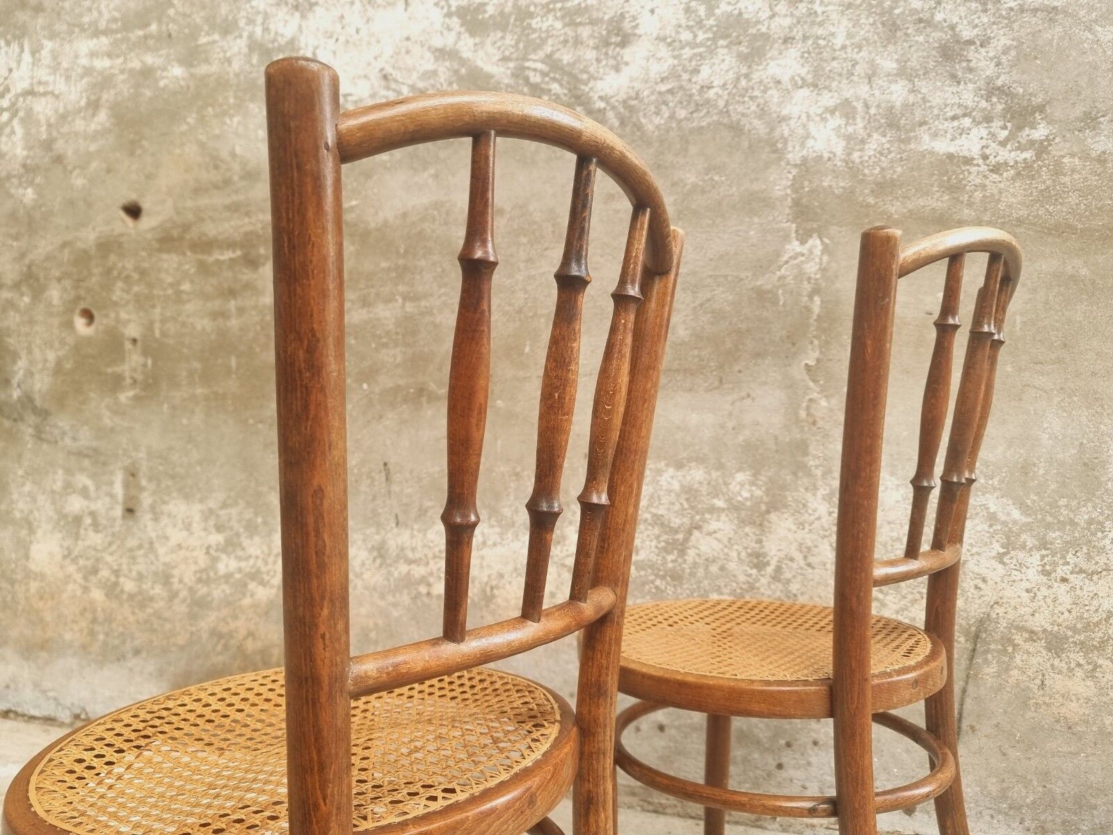 Antique chairs by Fischel