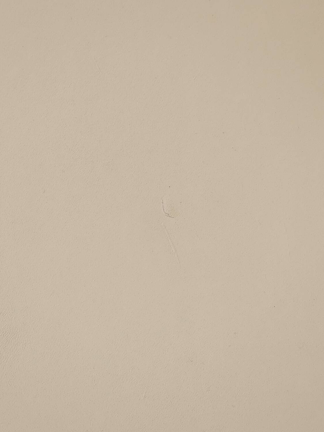 4 Pagholz dining chairs from Sedus Stoll