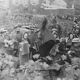 Silver photo print barium Vendange Montmartre. PARIS. Format 30cmx45cm