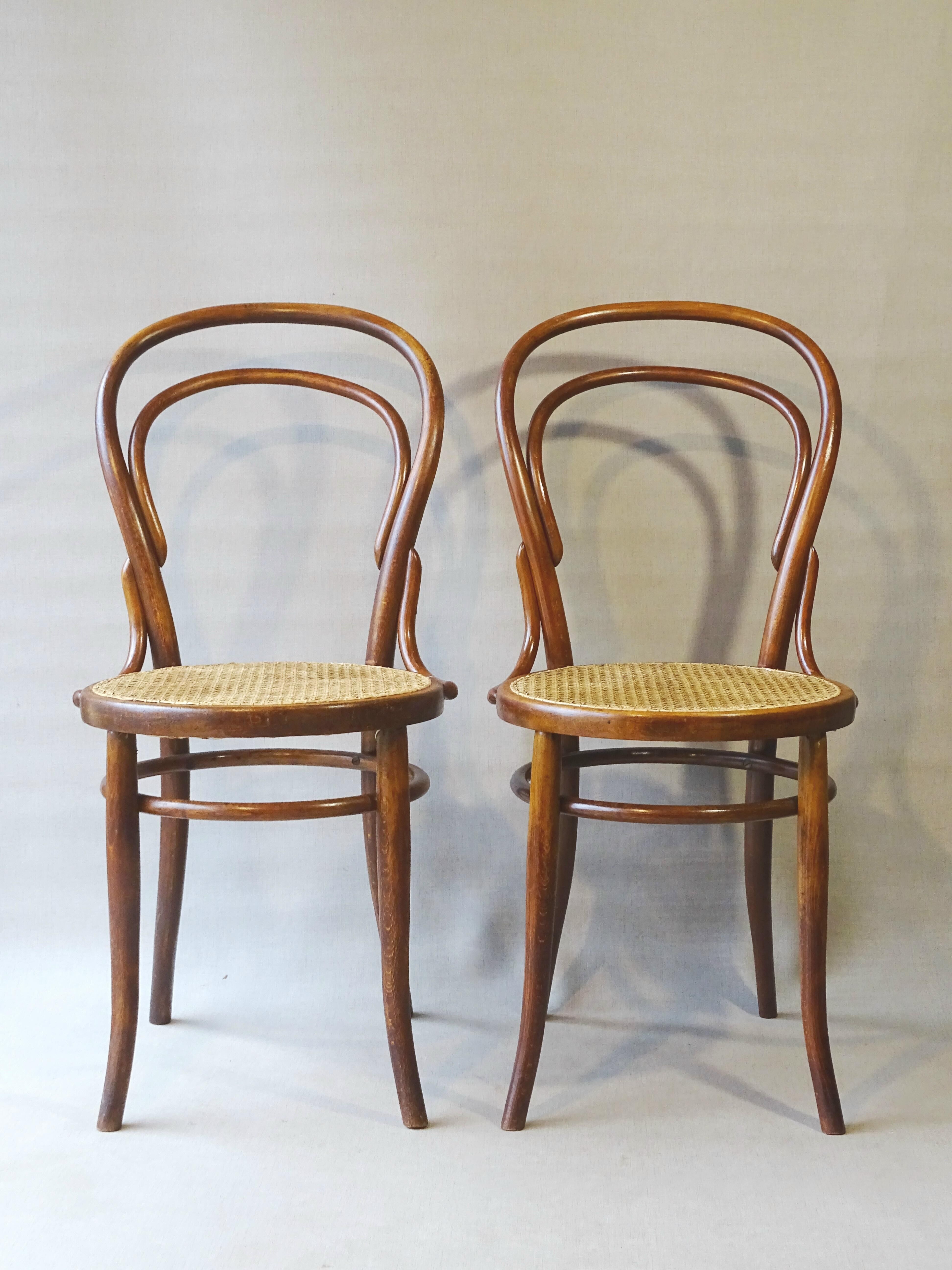 Two chairs turpe n°14 bistrot 1900 cans