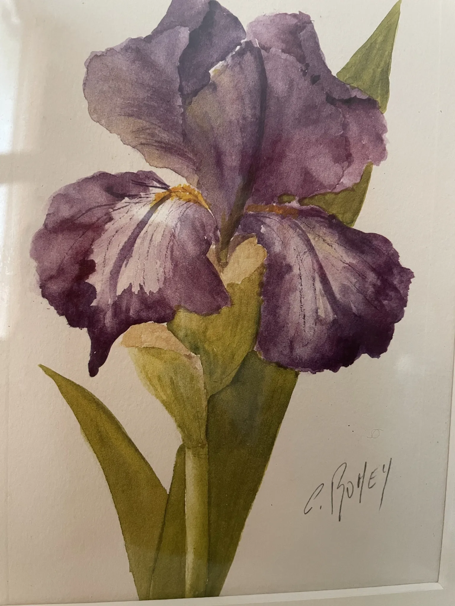 Duo d’aquarelles de Cecil Romey