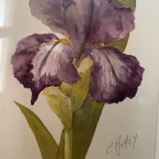 Duo d’aquarelles de Cecil Romey