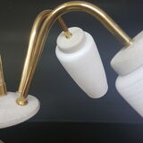 Ceiling of the 50s/60s