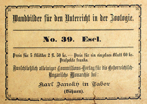 Affiche éducative, âne, lithographie, Karl Jansky, Böhmen, 1897
