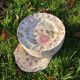 Rose Chintz dessert service - Shabby chic