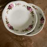 Set of 6 old hollow plates Gien model Champs