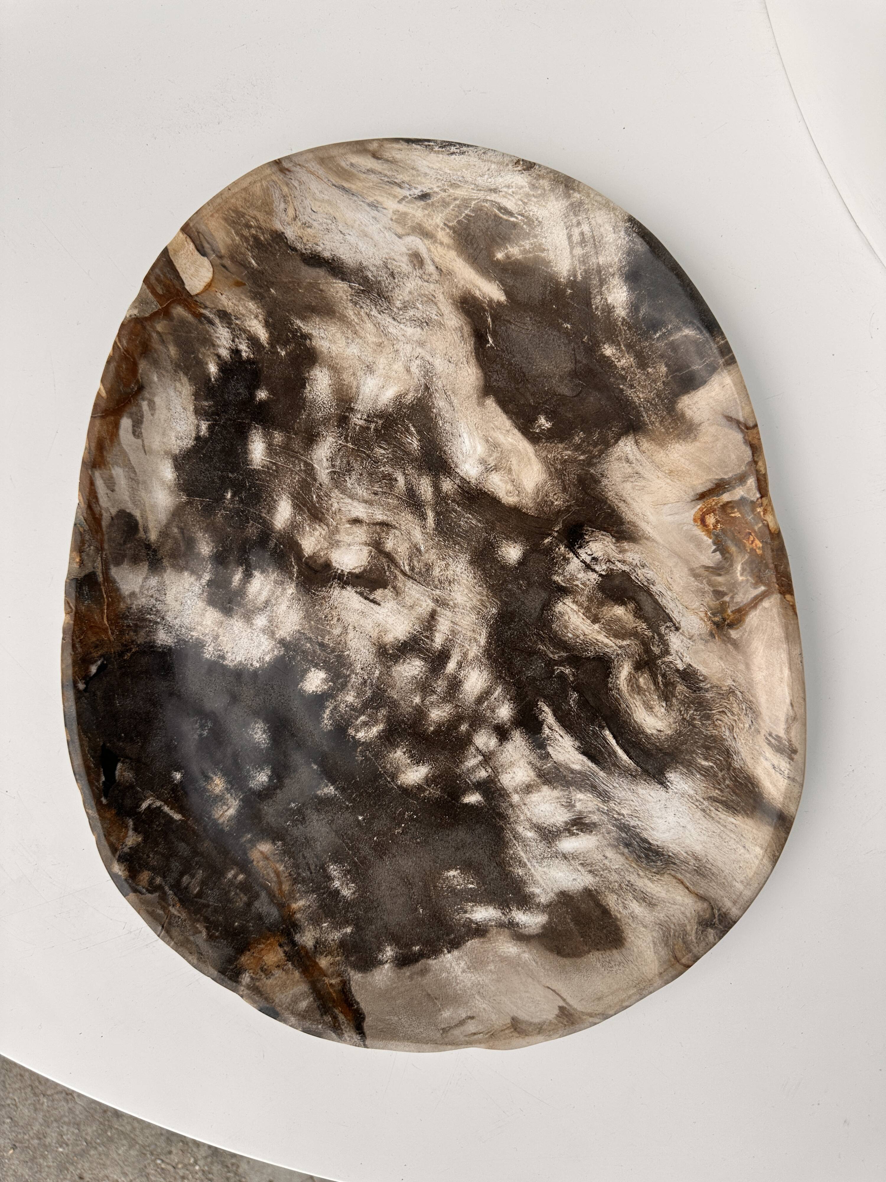 Very large empty pocket or dish in medium light petrified wood 1143