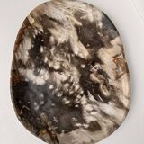 Very large empty pocket or dish in medium light petrified wood 1143