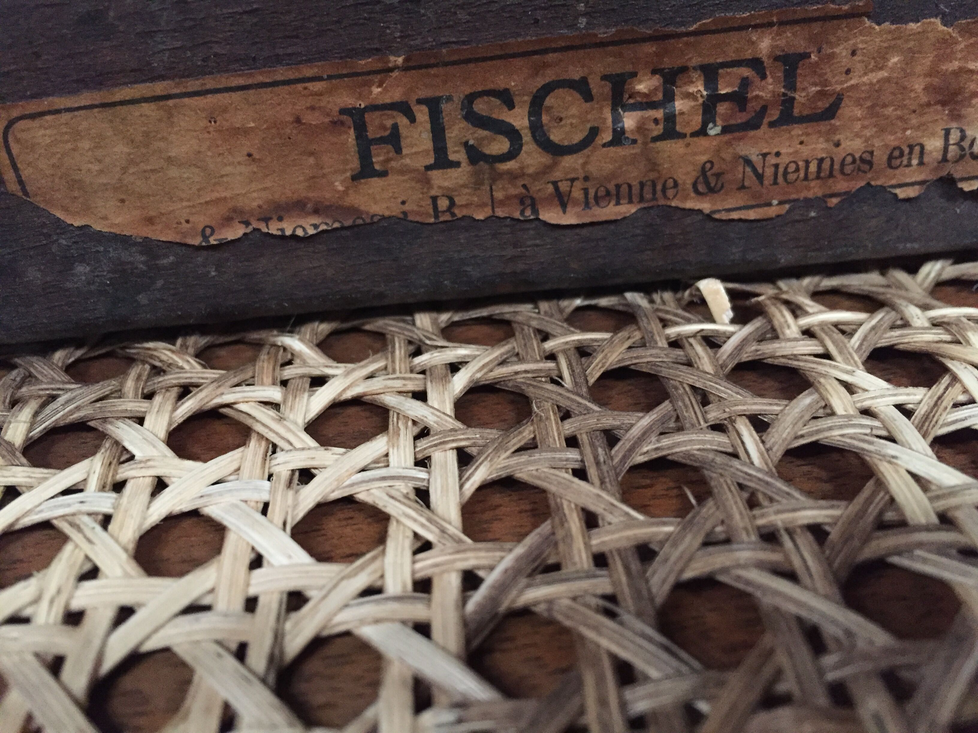 Series 4 chairs Bistro wood curved Fischel