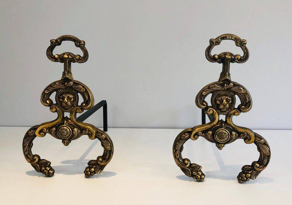Pair of neoclassical andirons in bronze and wrought iron