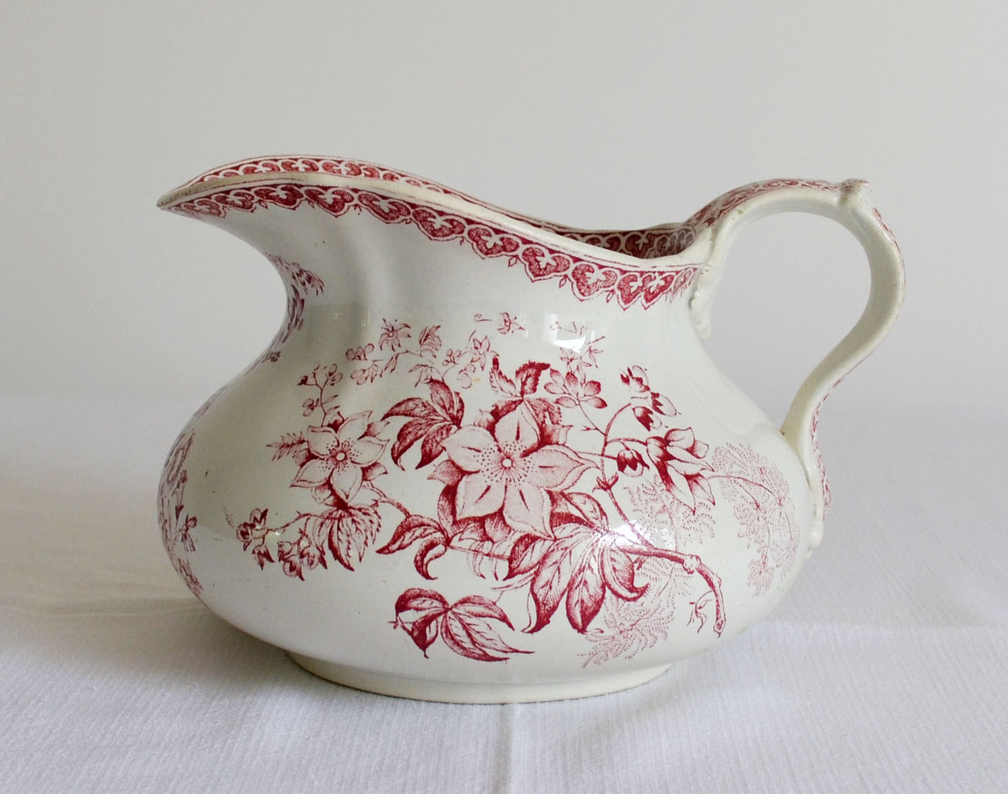 Bushy earth pitcher