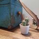 Antique wooden trunk with blue patina