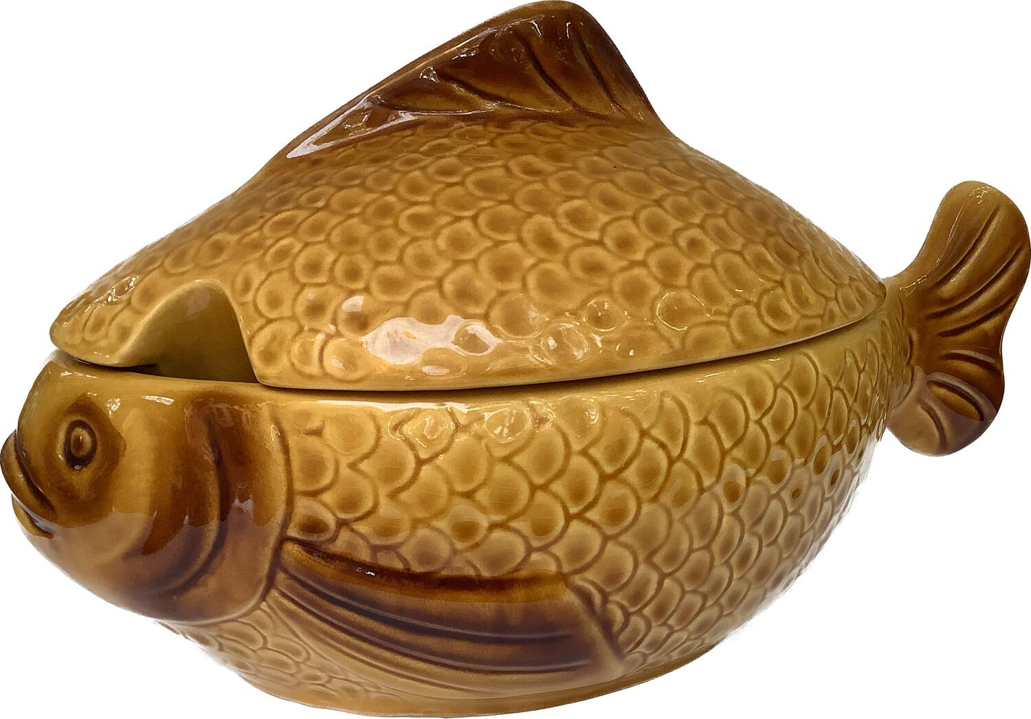 fish soup set 70