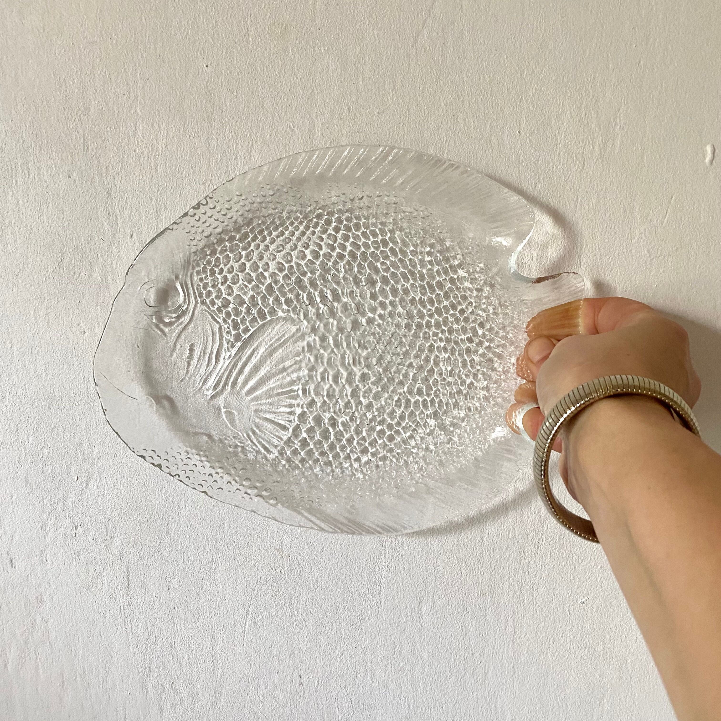 Glass fish plates