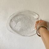 Glass fish plates