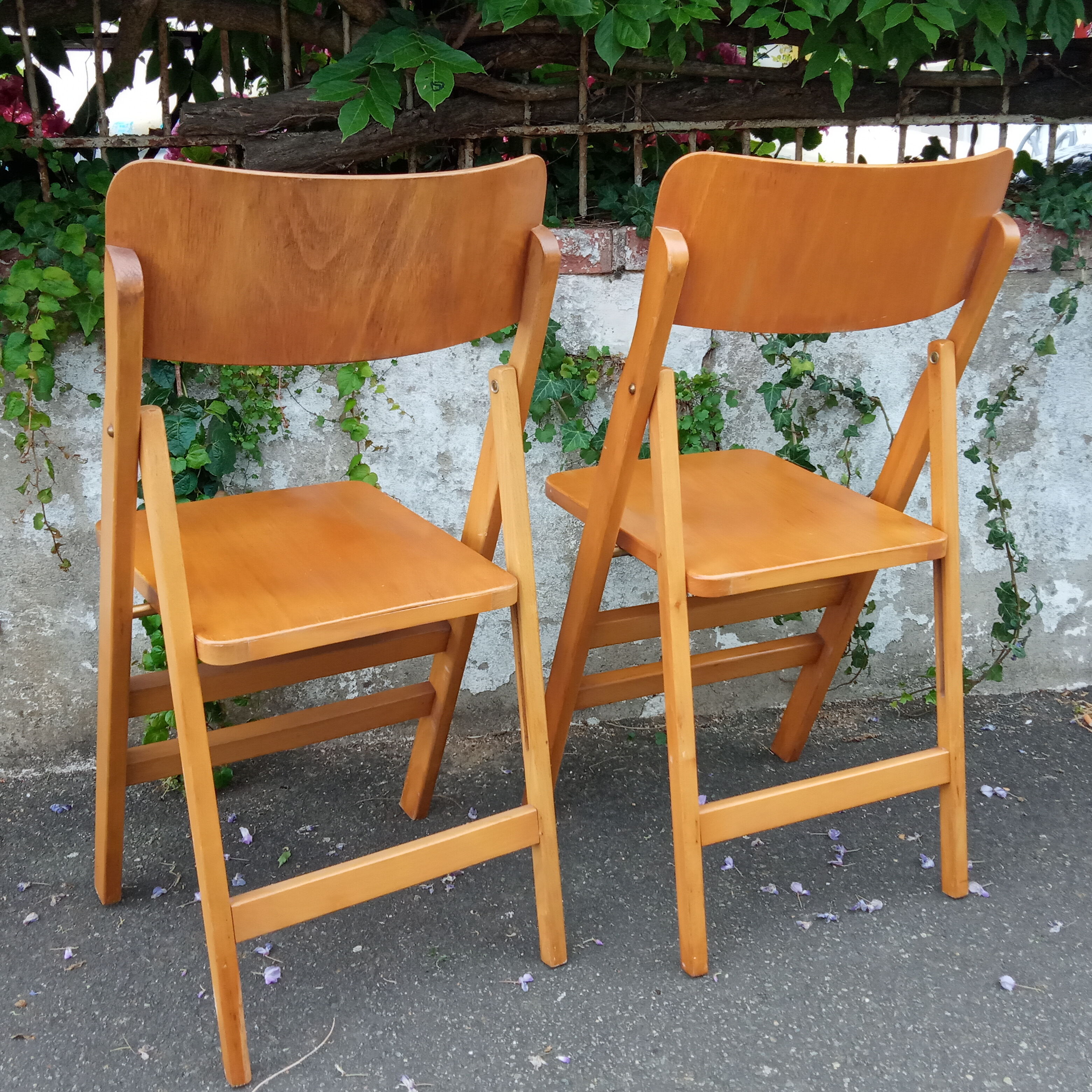 Pair of folding chairs 50s