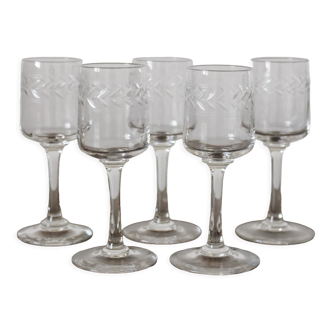 5 glasses with digestive crystal engraved frieze bay leaves
