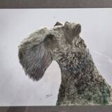 Photographie ancienne, portrait de chien signée d'Henry Dimont (Dim), 32 x 25 cm