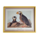 Reproduction vintage d'après Jean-Jacques Audubon, ornithologie, Macareux Huppé