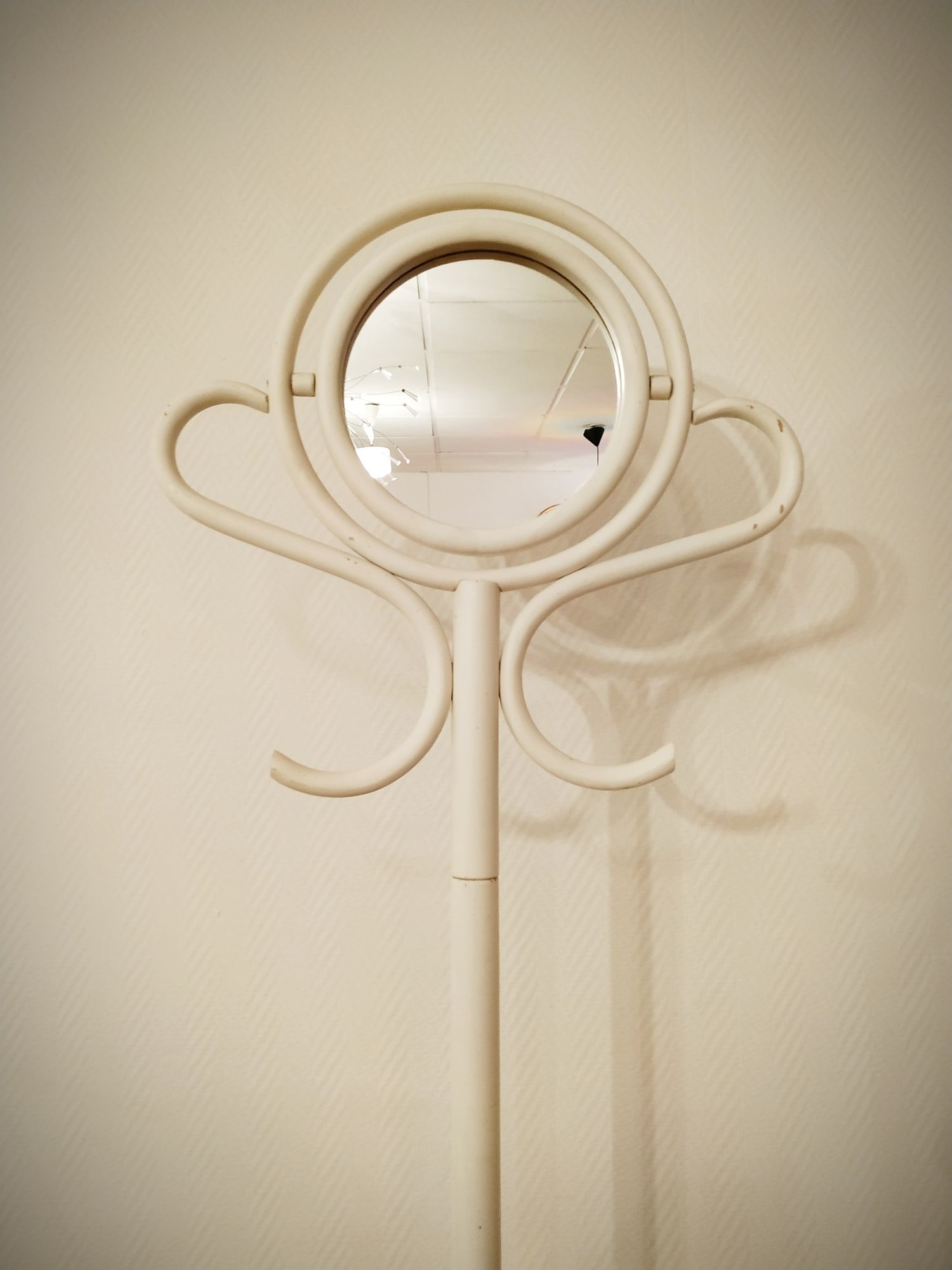 Psyche mirror parrot in curved wood