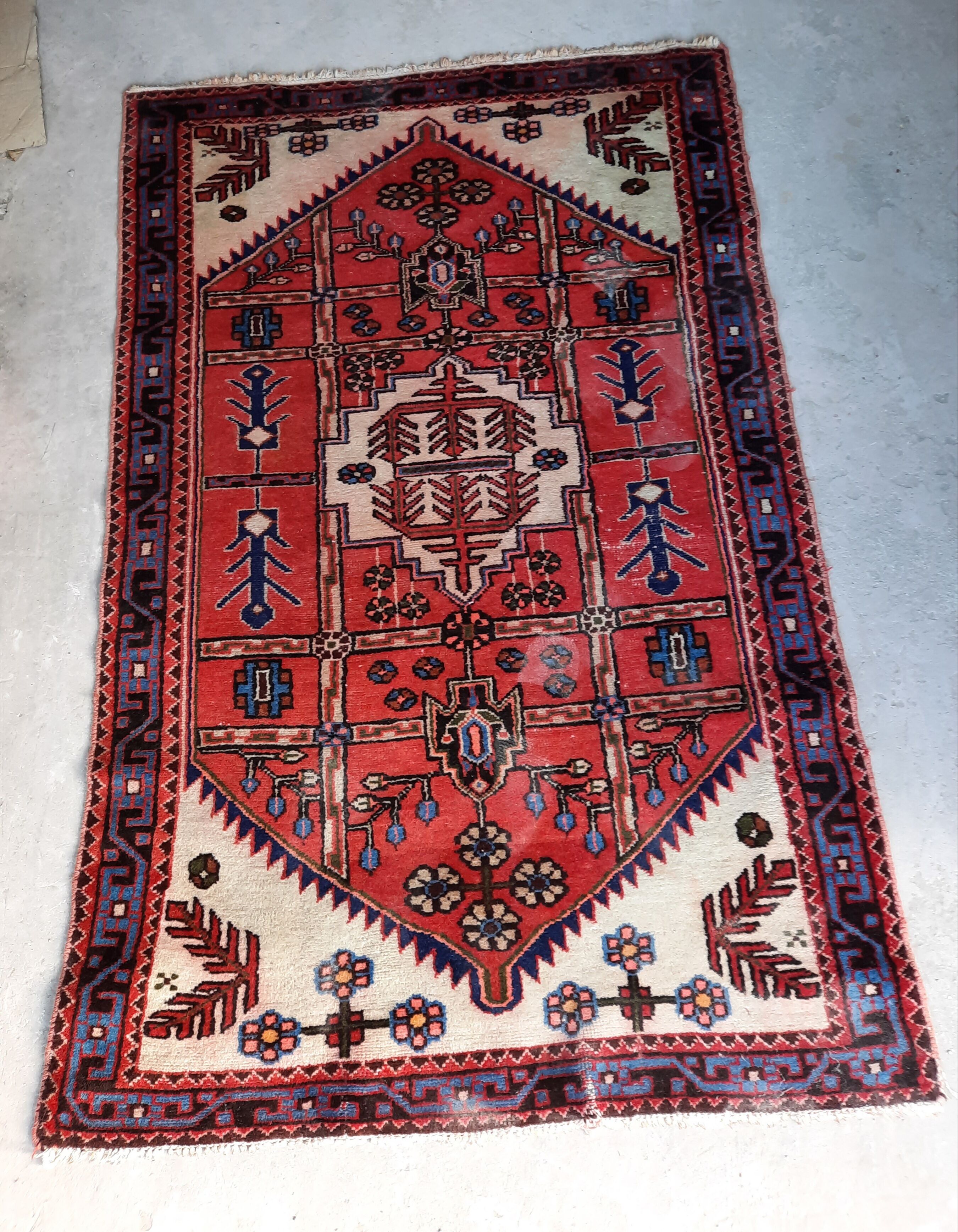 Oriental carpets