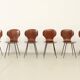Six plywood chairs by Carlo Ratti, Italy, 1950s.