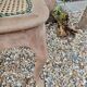 Italian cane armchair