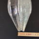 Nevada glass brick