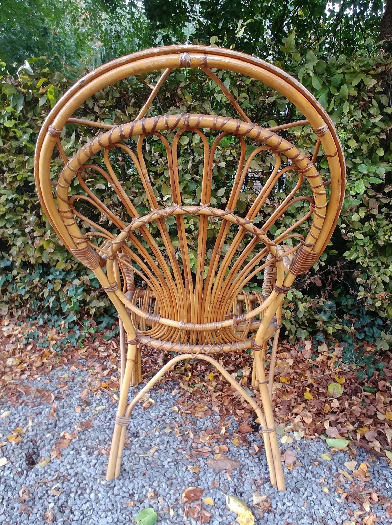 Pair of rattan chairs - 1970