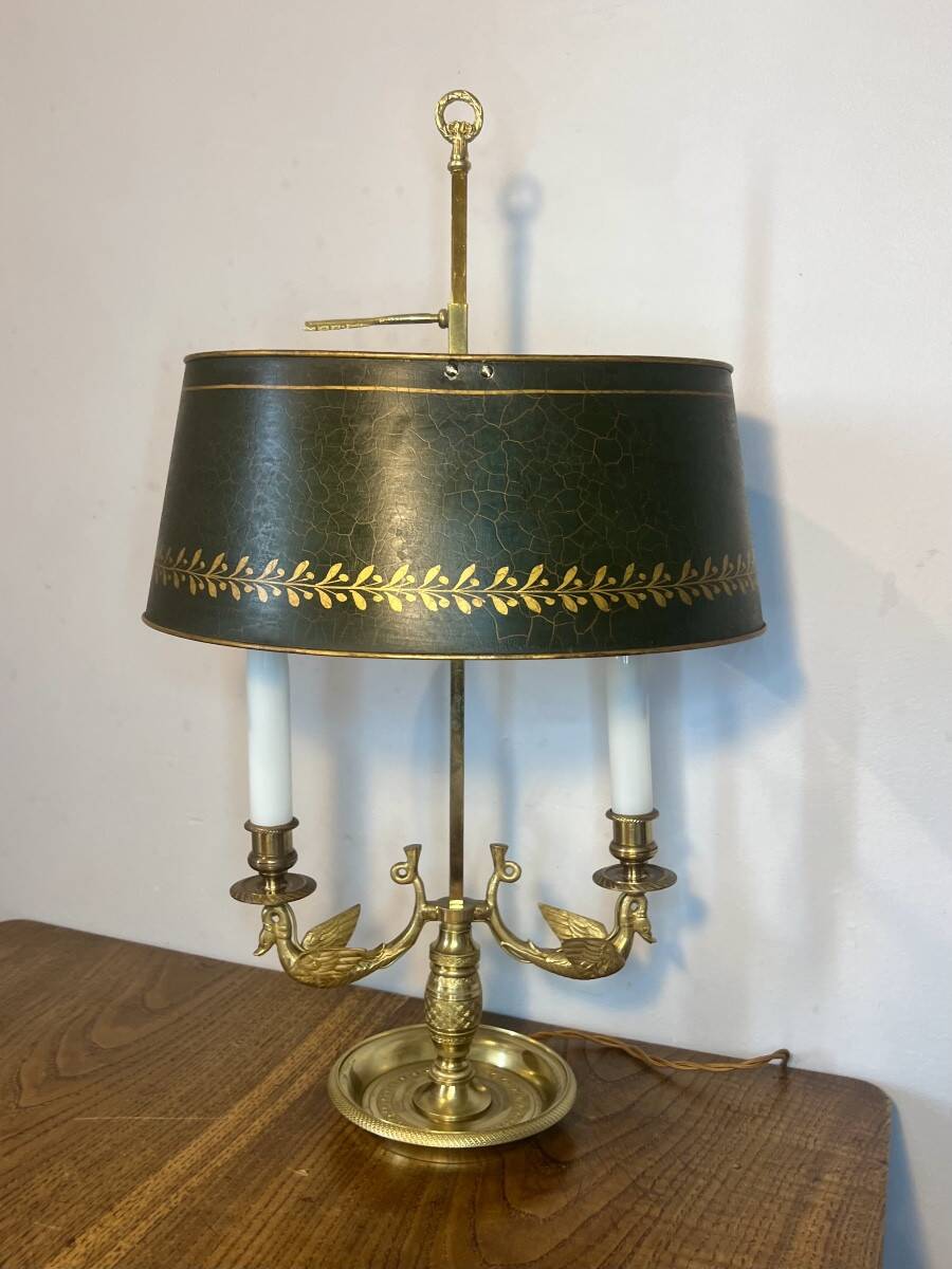 Lampe bouillotte cygnes