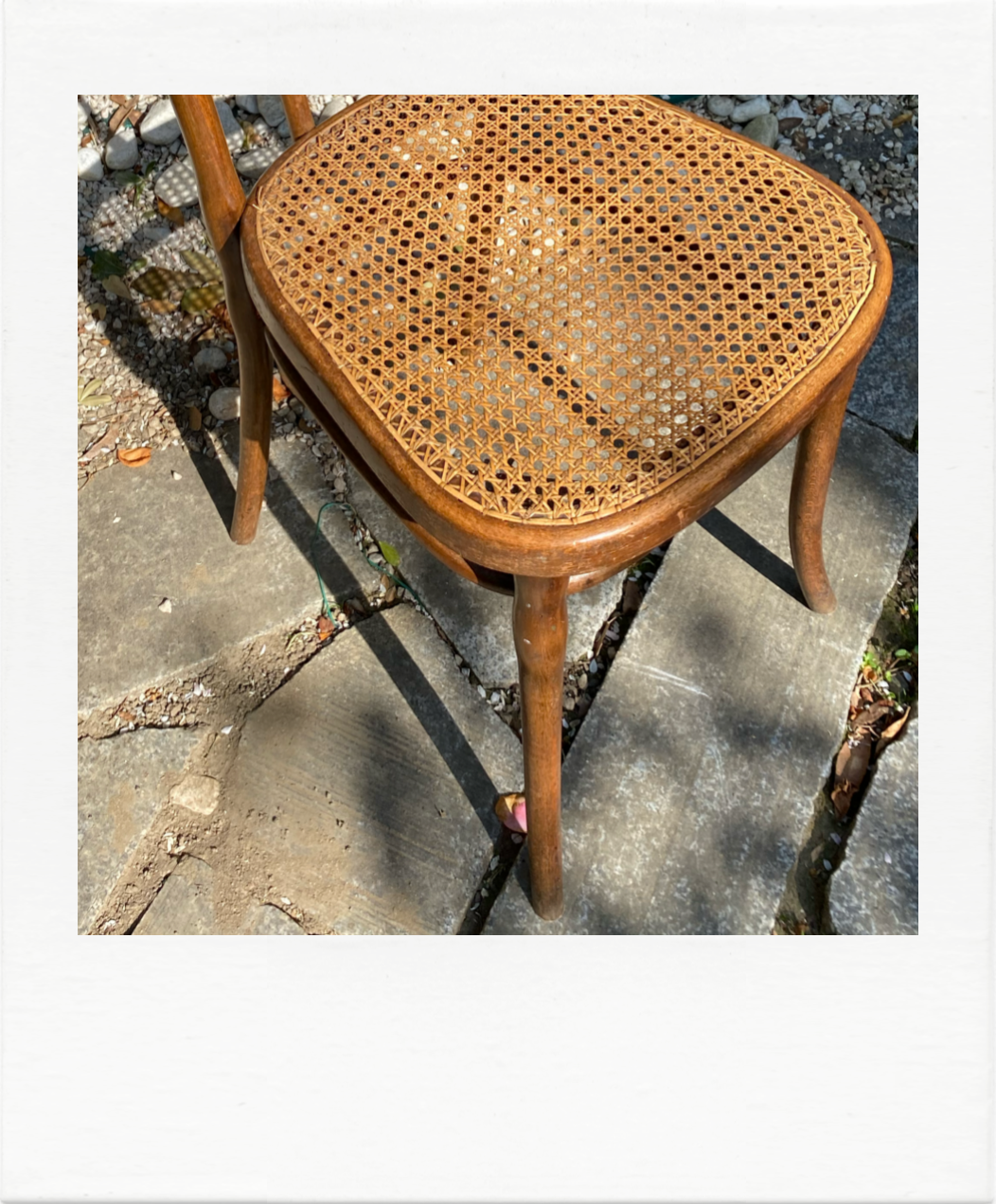 Duo of chairs Thonet bistro