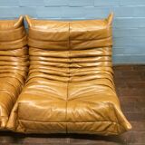 Togo sofa set model designed by Michel Ducaroy 1973