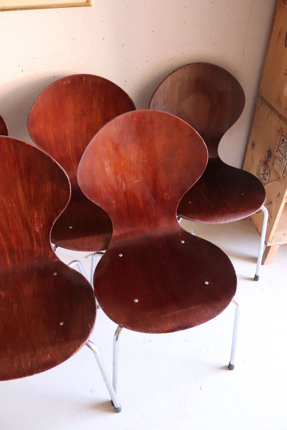 5 chaises style fourmi en contreplaqué moulé et métal chromé, esprit s