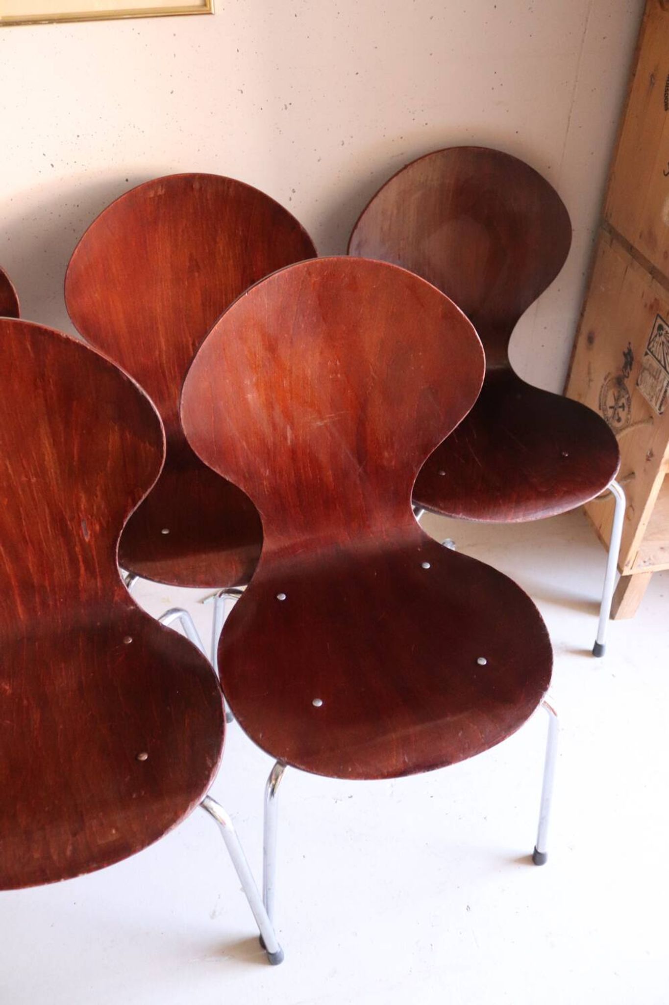 5 chaises style fourmi en contreplaqué moulé et métal chromé, esprit s