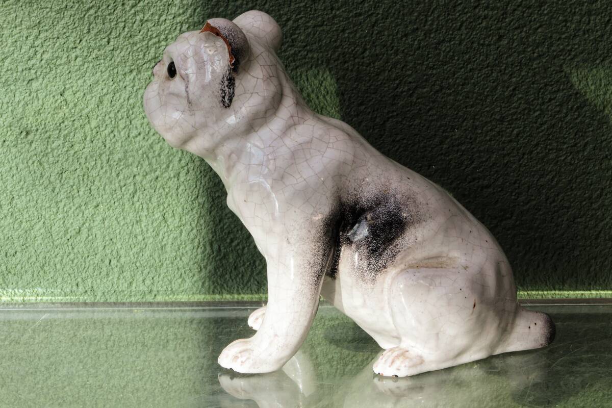 Chien, bouledogue, en terre cuite de Bavent