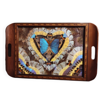 Vintage Brazilian inlaid tray Morpho butterfly wings, 1930s