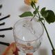 CRISTAL D'ARQUES "Fleury Epi" 6 cooked wine port glasses crystal 7 cl - H 13.5 cm